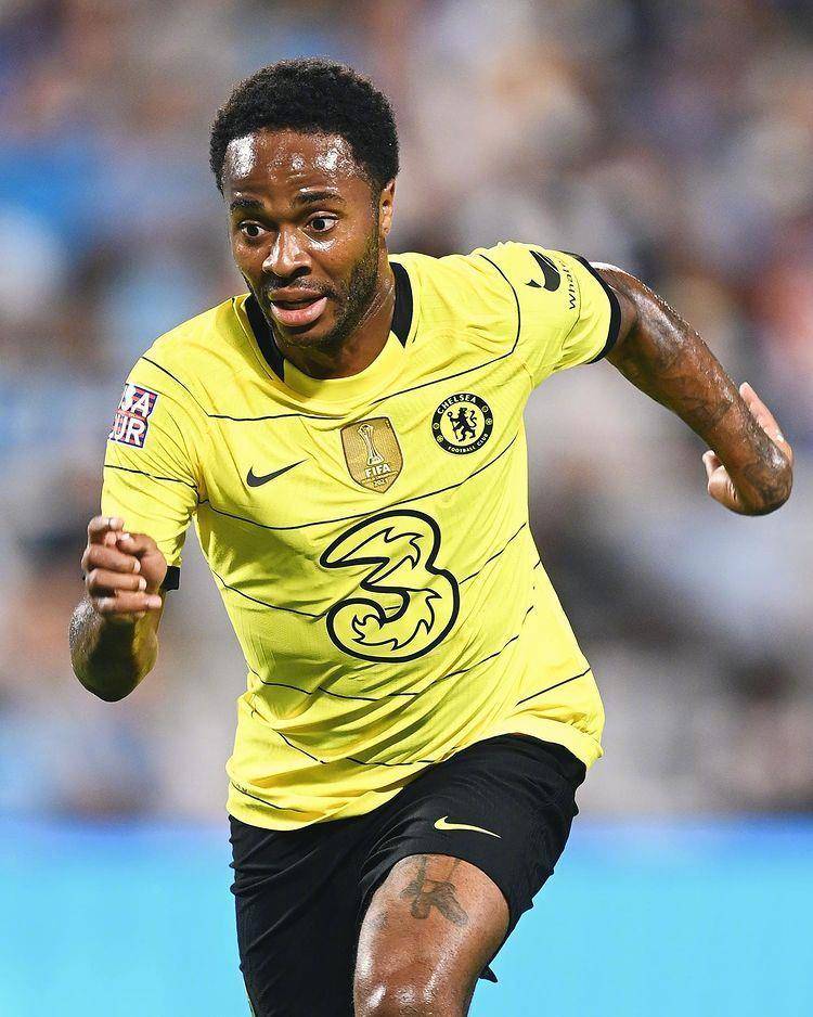 欧冠倒计时，夏洛特黄蜂转会期完成体检，细节引发关注，信心回归，纪律约束更严格的简单介绍-3377网页版